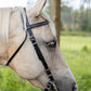 Black Western Bridle