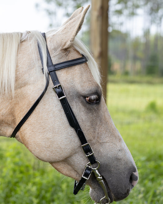 Black Western Bridle