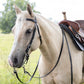 Black Western Bridle