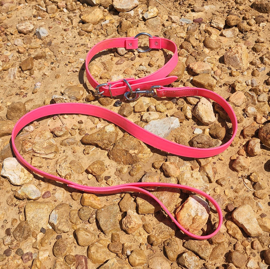 Hot Pink Center Ring Beta Biothane Dog Collar