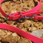 Hot Pink Center Ring Beta Biothane Dog Collar