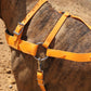 Mango Orange Dog Roading Harness