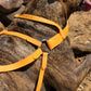 Mango Orange Dog Roading Harness
